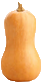 Squash|15.00